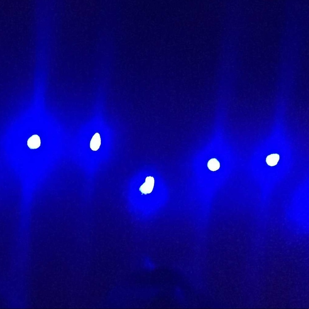 Meet your Posher, Sieara